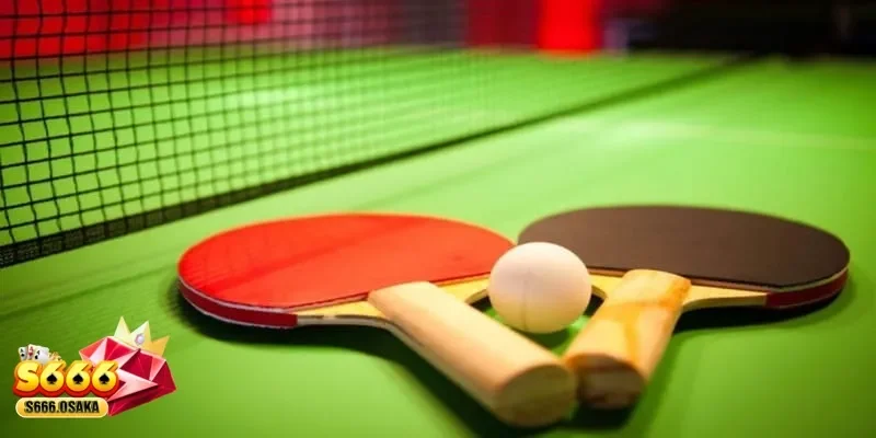 cá cược bóng bàn