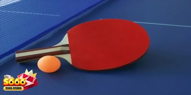 cá cược bóng bàn