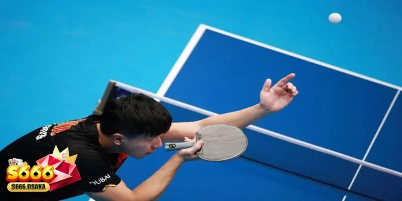 cá cược bóng bàn