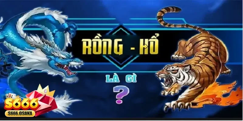 Rồng Hổ
